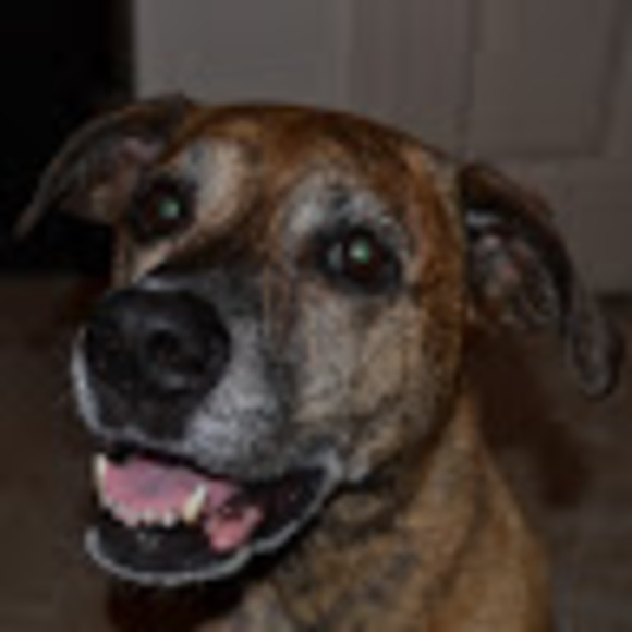 Meet your Posher, Lyza - Picture 1 of 1